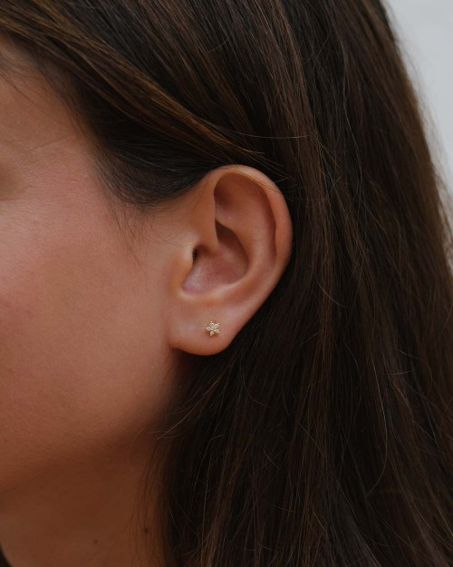Estrella Circonitas Earrings