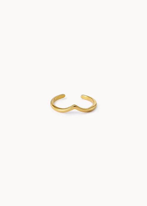 Fly Midi Ring