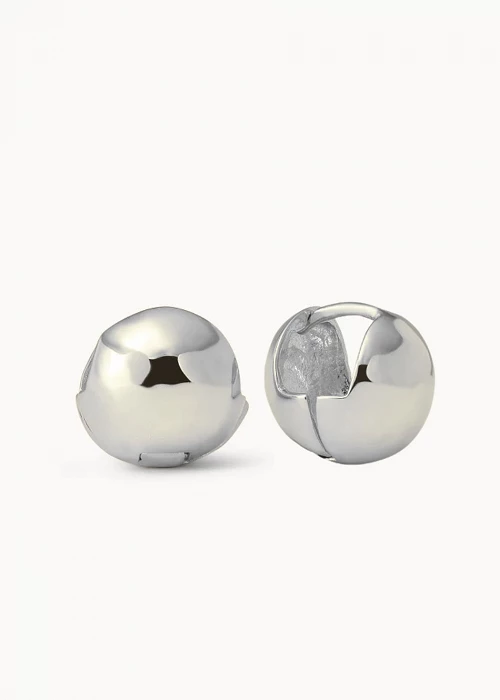 Big Globe Earrings