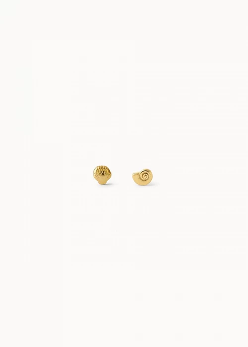 Set Piercings del Mar