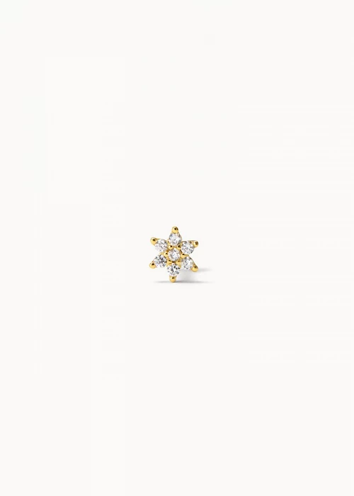 Piercing Stella