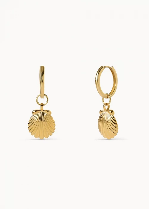 Pendientes Aro Concha